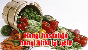 Hangi hastalığa hangi bitki iyi gelir