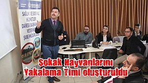 Sokak Hayvanlarını Yakalama Timi oluşturuldu