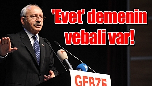 'Evet' demenin vebali var!