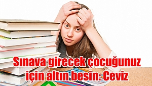Sınava girecek çocuğunuz için altın besin: Ceviz