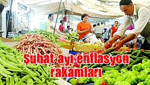 Şubat ayı enflasyon rakamları