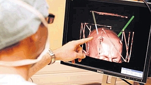 Bilim insanları beyin üretti