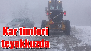 Büyükşehir kar timi yolları sürekli açık tuttu