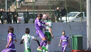 Menekşe böyle güzel:1-2