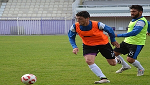 Menekşe tatil havasında