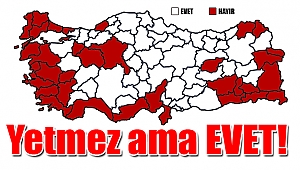 Yetmez ama EVET!