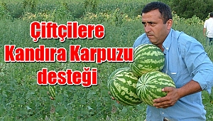 Büyükşehir’den çiftçilere Kandıra Karpuzu desteği