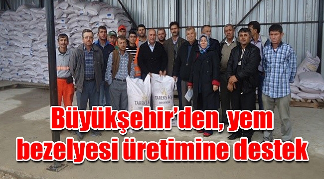 Büyükşehir’den, yem bezelyesi üretimine destek