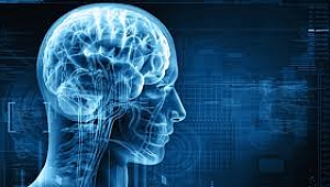 MS hastalığına işaret eden 6 belirti