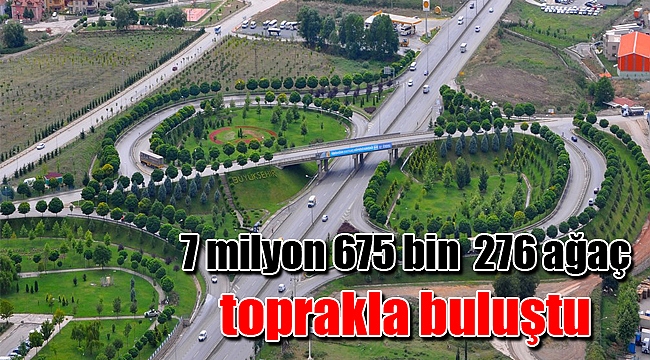 7 milyon 675 bin 276 ağaç toprakla buluştu