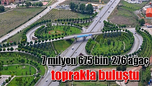 7 milyon 675 bin 276 ağaç toprakla buluştu