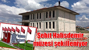 Şehit Halisdemir müzesi şekilleniyor