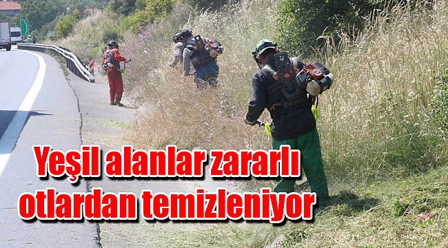 Yeşil alanlar zararlı otlardan temizleniyor