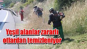 Yeşil alanlar zararlı otlardan temizleniyor