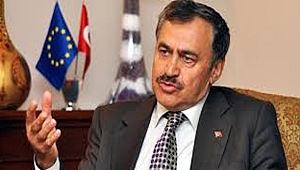 Bakan Eroğlu yanan ormanlık alanlarla ilgili konuştu