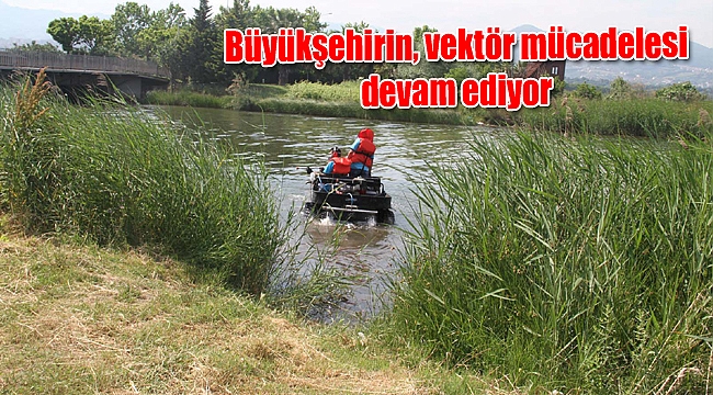 Büyükşehirin, vektör mücadelesi devam ediyor