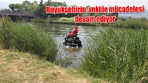 Büyükşehirin, vektör mücadelesi devam ediyor