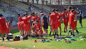 Menekşe harıl harıl