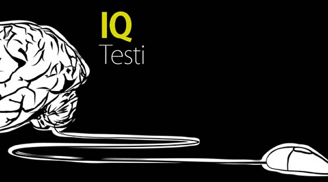 İki soruluk IQ testi
