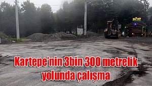 Kartepe'nin 3bin 300 metrelik yolunda çalışma