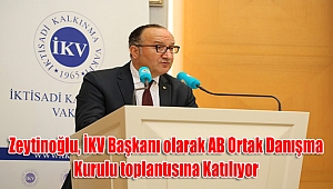 Zeytinoğlu, İKV Başkanı olarak AB Ortak Danışma Kurulu toplantısına Katılıyor