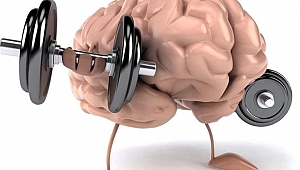 Beynin uyanık kalması için gerekli olan şey: Dozunda kafein