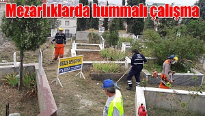 Mezarlıklarda hummalı çalışma