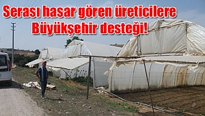 Serası hasar gören üreticilere Büyükşehir desteği!