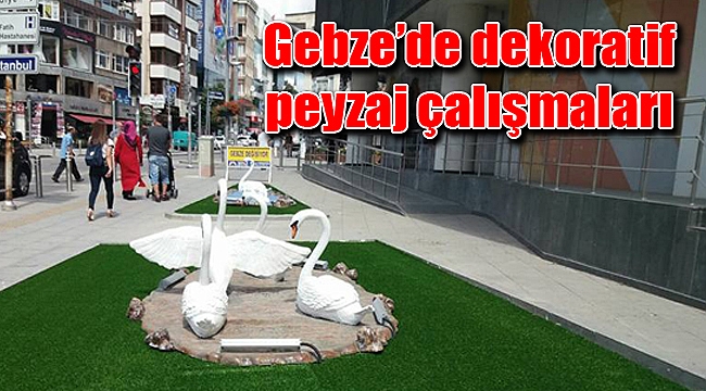 Gebze’de dekoratif peyzaj çalışmaları