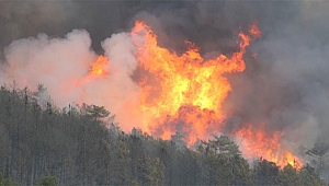 Kütahya’da alevler kontrol altına alındı