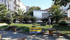 Parklarda sonbahar çalışması