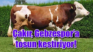 Çakır, Gebzespor için tosun kestirdi