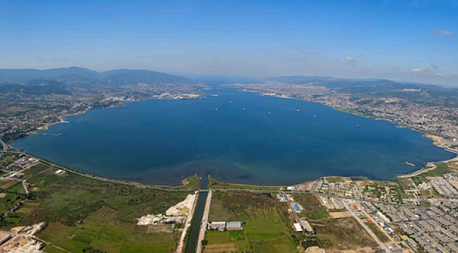 Körfeze 6 Bin balık bırakılacak