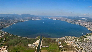 Körfeze 6 Bin balık bırakılacak