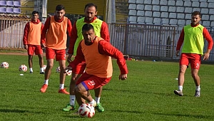 Menekşe pür dikkat!