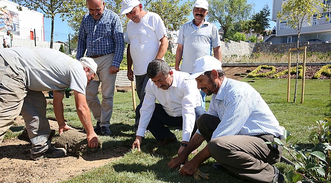 Darıca'yı yeşile boyadılar