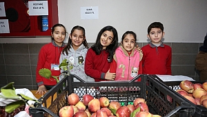 Sebzeler okulda satıldı