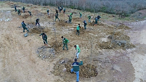 Ağaçlandırma çalışması ile 2 bin 300 ağaç