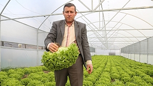 Büyükşehir’in sera desteği ile üretim daha kaliteli