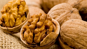 Ceviz erkeklerde sperm kalitesini artırıyor