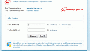 e-Devlet'te hangi işlemler yapılıyor? İşte e-Devlet işlemleri