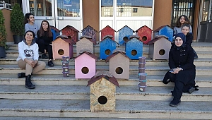 Kedi evleri, sahipsiz hayvanları ısıtacak