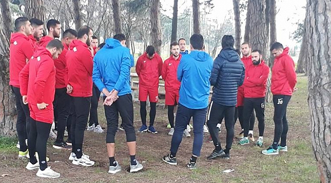 Menekşe oksijen depoladı