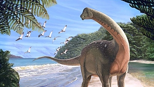 Mısır'da dev dinozor fosili bulundu