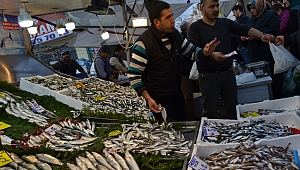 Ne ararsan var, lüfer yok