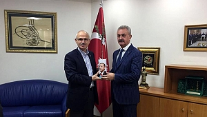 Ayar’dan ‘Zeytin Dalı’