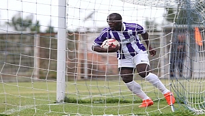 Bebbe’yi besleyin!