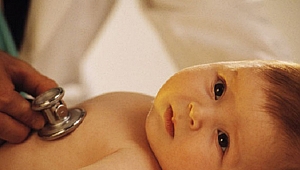 Bebekler tehdit altında