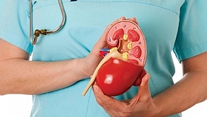 Böbrek tüketen nedenler