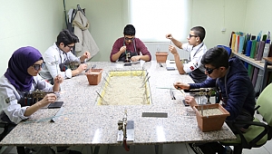 Değişen hayatlar, yeşeren umutlar